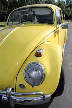 1966 Volkswagen Beetle Picture 3