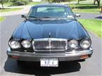 1986 Jaguar XJ6 Picture 3