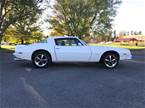 1975 Pontiac Firebird Picture 3