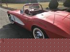 1961 Chevrolet Corvette Picture 3