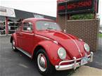 1961 Volkswagen Beetle Picture 3