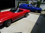 1965 Chevrolet Corvette Picture 3