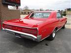 1966 Pontiac GTO Picture 3