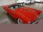 1955 Ford Thunderbird Picture 3