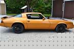 1981 Chevrolet Camaro Picture 3