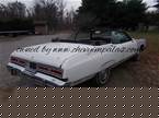 1974 Chevrolet Caprice Picture 3