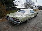 1974 Chevrolet Caprice Picture 3