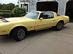 1978 Pontiac Firebird Picture 3