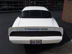 1979 Pontiac Trans Am Picture 3
