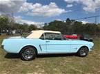 1964 Ford Mustang Picture 3