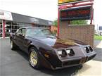 1981 Pontiac Trans Am Picture 3