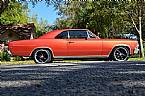 1966 Chevrolet Chevelle Picture 3