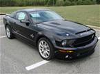 2008 Ford Shelby Picture 3