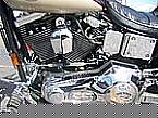 1998 Other H-D 95th Anniversary Picture 3