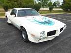 1973 Pontiac Trans Am Picture 3