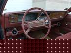 1979 AMC Concord Picture 3
