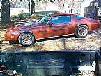 1977 Pontiac Firebird Picture 3