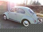 1964 Volkswagen Beetle Picture 3