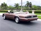 1995 Jaguar XJS Picture 3