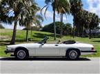 1990 Jaguar XJS Picture 3