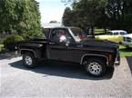 1979 Chevrolet Stepside Picture 3