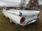 1959 Ford Fairlane Picture 3