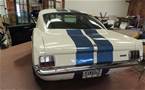 1966 Ford Shelby Picture 3