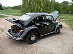 1970 Volkswagen Beetle Picture 3