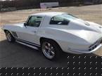 1966 Chevrolet Corvette Picture 3