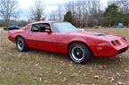 1981 Pontiac Firebird Picture 3