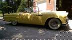 1955 Ford Thunderbird Picture 3
