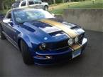 2006 Ford Mustang Picture 3