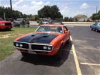 1967 Pontiac Firebird Picture 3