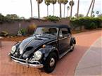 1964 Volkswagen Beetle Picture 3