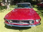 1967 Ford Mustang Picture 3