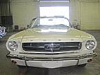 1964 1/2 Ford Mustang Picture 3