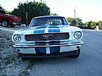 1966 Ford Mustang Picture 3