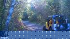 1955 Willys CJ3B Picture 3