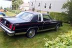 1981 Ford Crown Victoria Picture 3