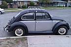 1970 Volkswagen Beetle Picture 3