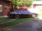 1982 Pontiac Firebird Picture 3