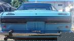 1973 Datsun 510 Picture 3