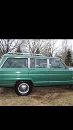 1976 Jeep Wagoneer Picture 3