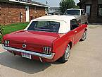 1965 Ford Mustang Picture 3