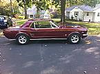 1966 Ford Mustang Picture 3