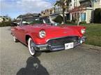 1957 Ford Thunderbird Picture 3