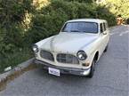 1966 Volvo Amazon Picture 3