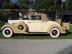1935 Buick 66C Picture 3