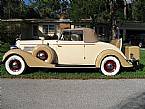 1935 Buick 66C Picture 3