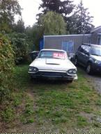 1965 Ford Thunderbird Picture 3